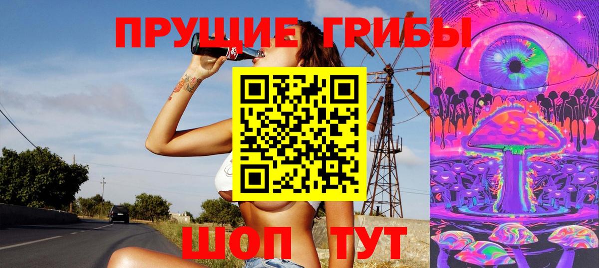 Северск  Галлюциногенные грибы прущие грибы  Вход с VPN 