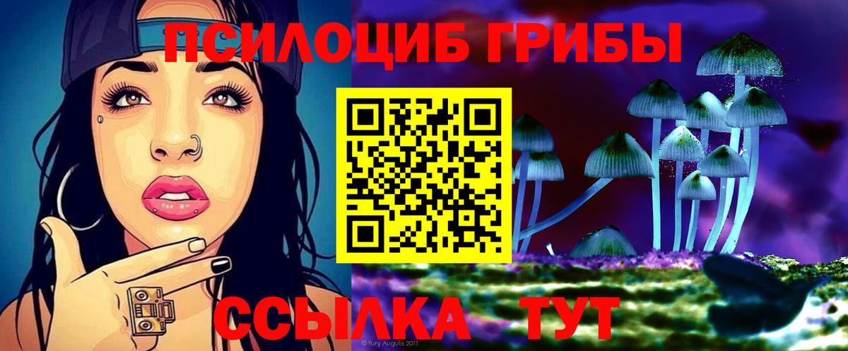 Галлюциногенные грибы прущие грибы Северск
